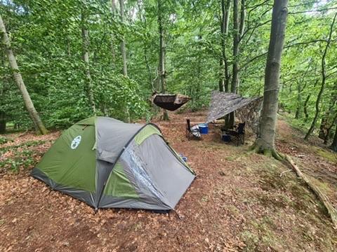 Zelt und Tarp in einem Waldcamp.