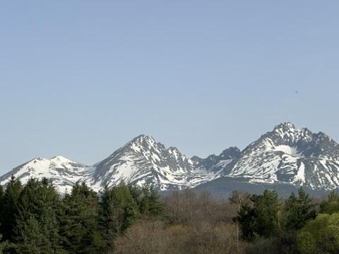 Schneebedeckte Gebirgskette über einem Waldsaum.