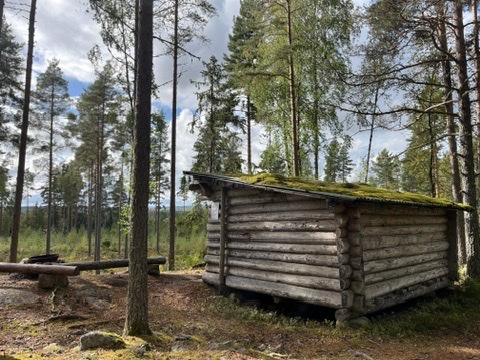 Blockhütten-Shelter mit bemoostem Dach in einem Kiefernwald.
